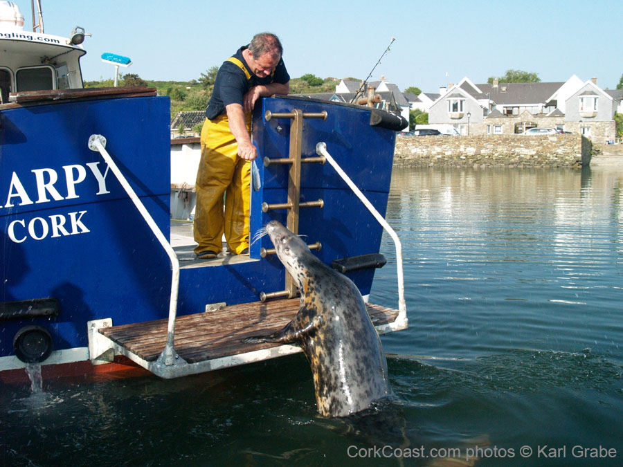 KG113289  charlie kinsale seal