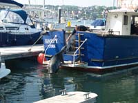 KG113218 charlie kinsale seal