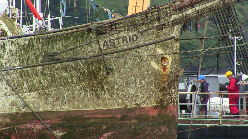 IMG_0334 the astrid surfaces