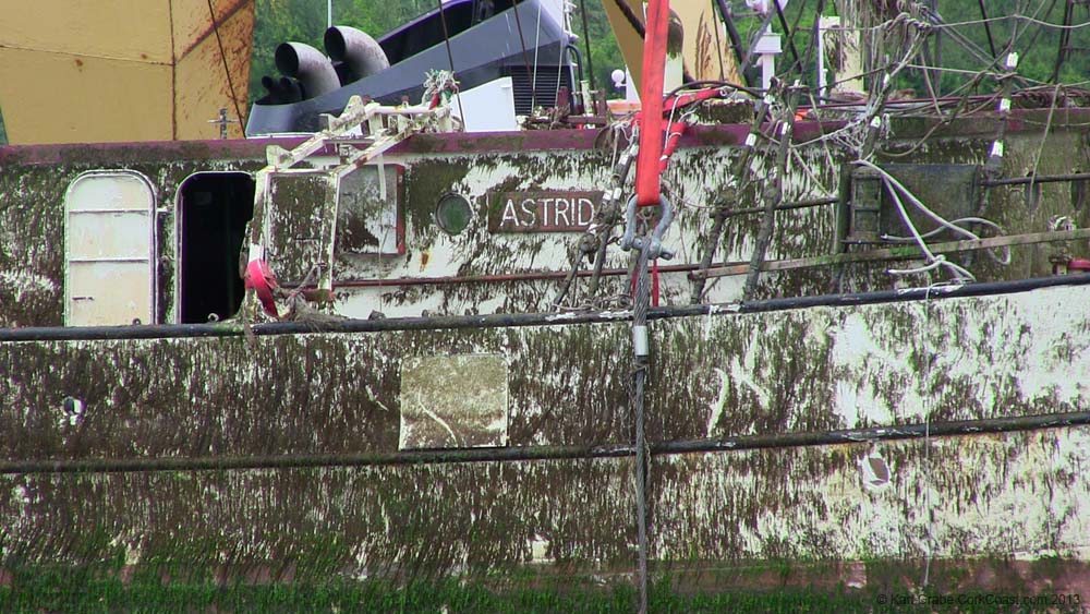 IMG_0347 astrid + 6weeks underwater