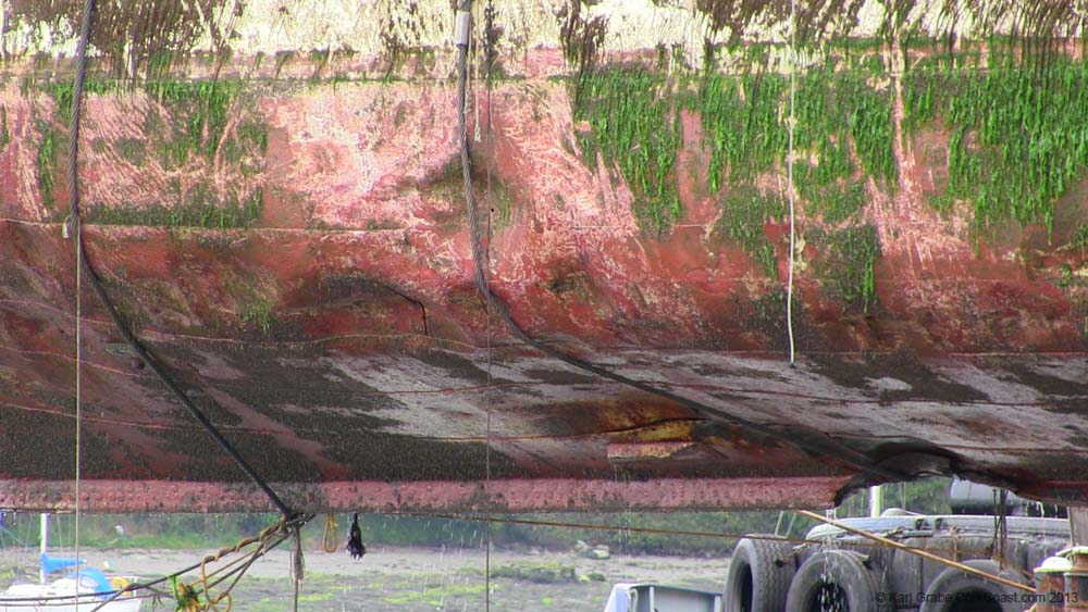 IMG_0391 gashes in Astrid's hull