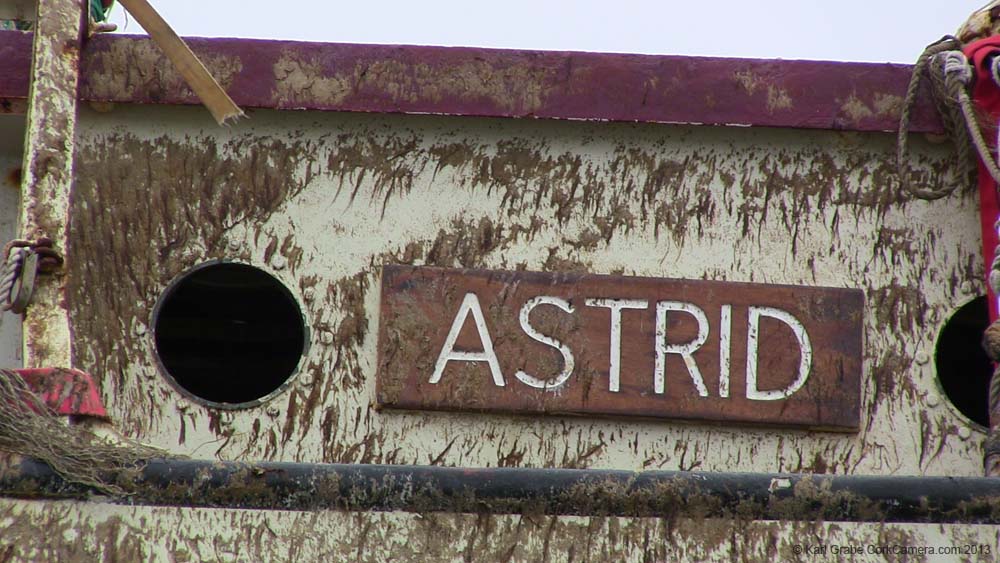 IMG_0597 astrid kinsale Oct2013