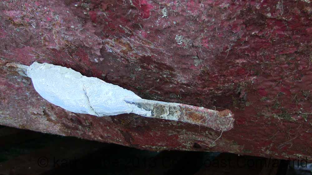 IMG_0792