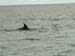 KG276941