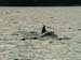 KG278386 left markings