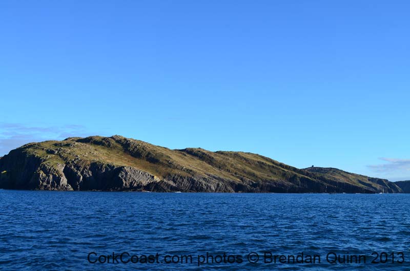 Cork whales 009