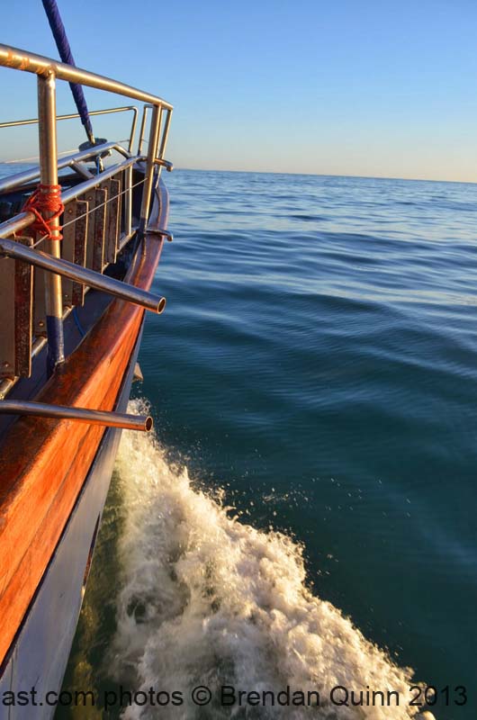 Kinsale New Ross 2014 013