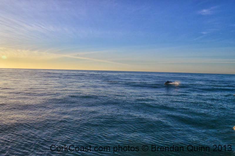 Kinsale New Ross 2014 015