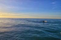 Kinsale New Ross 2014 015