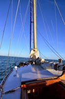 Kinsale New Ross 2014 034