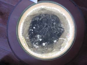 IMG_0214 hole for possible original flagpole