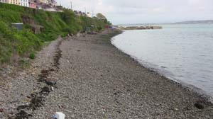 IMG_3825 2015 Cobh