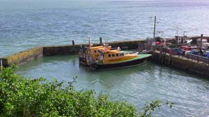 IMG_3876 2015 Cobh cork pilots Cove Fort