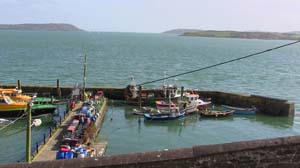 IMG_3879 2015 Cobh- harbur Cove Fort