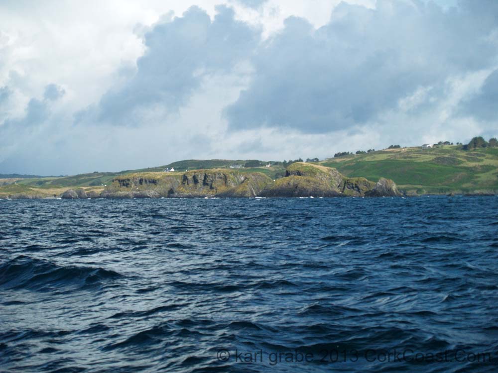 KG274474 rabbit island