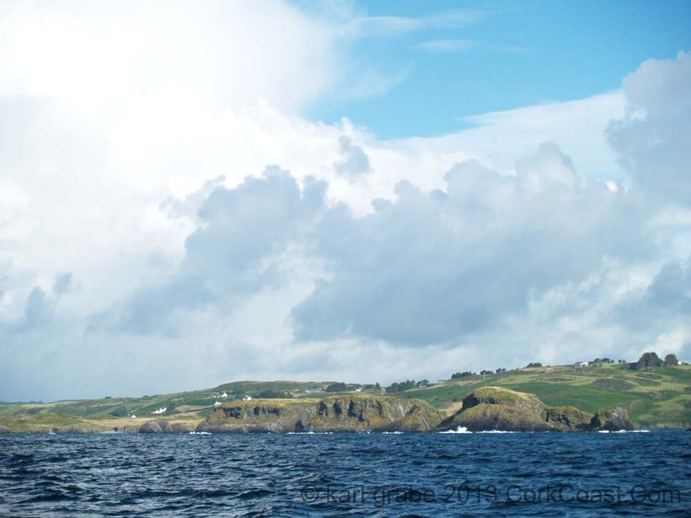 KG274478 rabbit island glandore