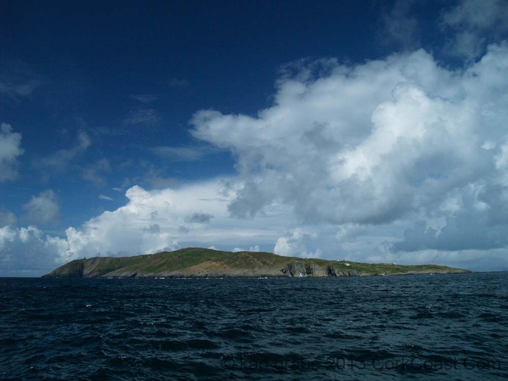 KG274522 clear island