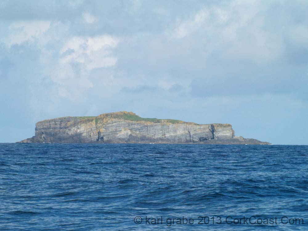 KG284615 cow rock