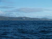 KG284586 nr barleycove