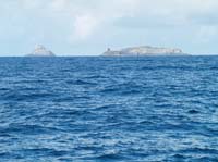 KG284609 Bull Calf Cow rocks Cork