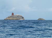 KG284614 calf + heifer rocks