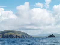 KG284633 dursey + calf rock