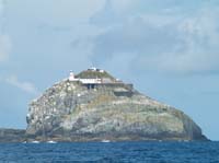 KG284649 bull rock lighthouse gannets