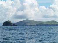 KG284678 cow rock dursey