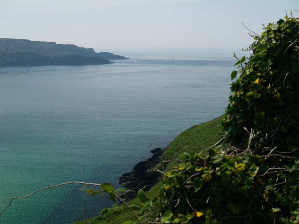 KG093082  BarleyCove. cork