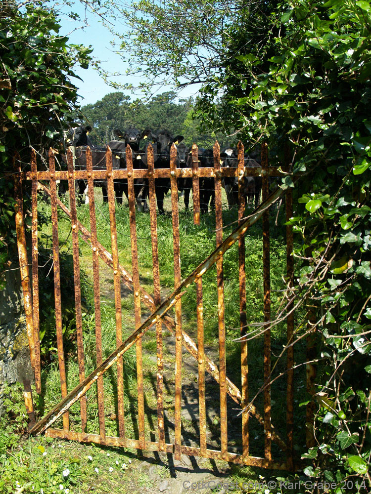 KG130998   Courtaparteen Church